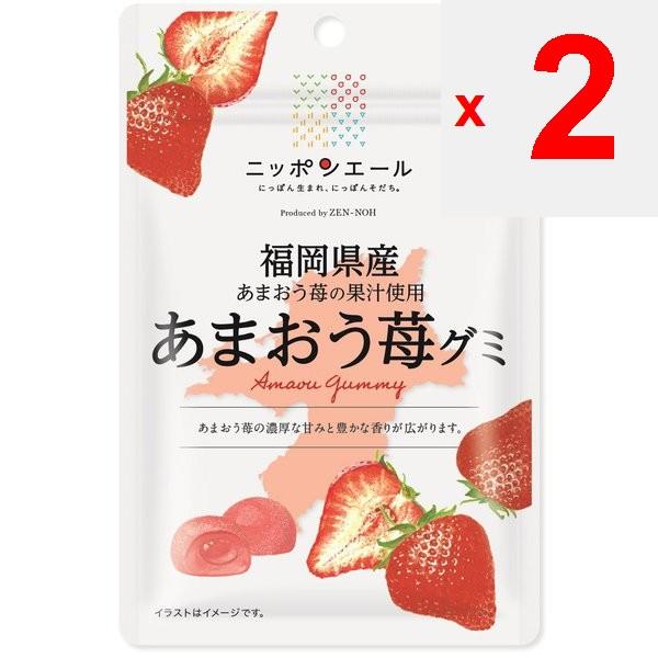 JA Nippon Ale Fukuoka Amao Strawberry Gummi 40gNippon Ale Brand with the Catchphrase Nippon-born, N Nippon Ale Brand with the Catchphrase Nippon-born,