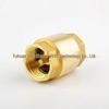 High-Quality Brass Vertical Check Valve - Female Thread, Backflow Preventer, Thickened Copper One-Way Water Pipe Valve