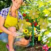 Blumensprenger für den Außengarten 360 Grad drehendes bewegliches Bewässerungswerkzeug dekorativer Crazy Daisy Sprenger für Wasserspaß