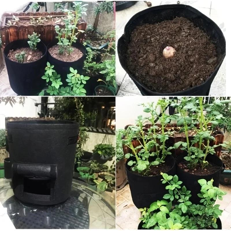 Pot Bag Bag Potatoes Carrots Vegetables Pocket For Growing Xxl 38L