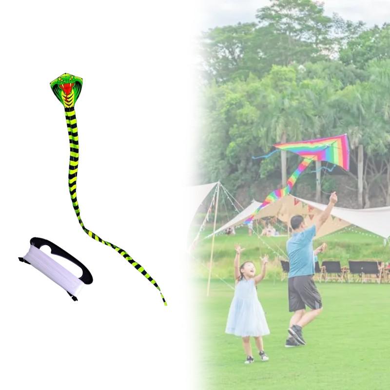Snake Polyester Lightweight Triangle Kite Glass Fiber Structure Travel Festival