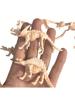 6pcs Simulated Dinosaur Skeleton Model Archaeological Excavation Dinosaur Fossil Skeleton Accessories Children's Birthday Gifts