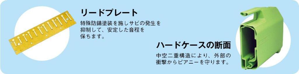 Zen-On Piani Keyboard Harmonica with Hard Case, 323AH GREEN