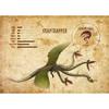 Dragon Species Cartoon Movie Cards Posters and Prints Canvas Printing Wall Art Picture for Living Room Home Decor Gifts