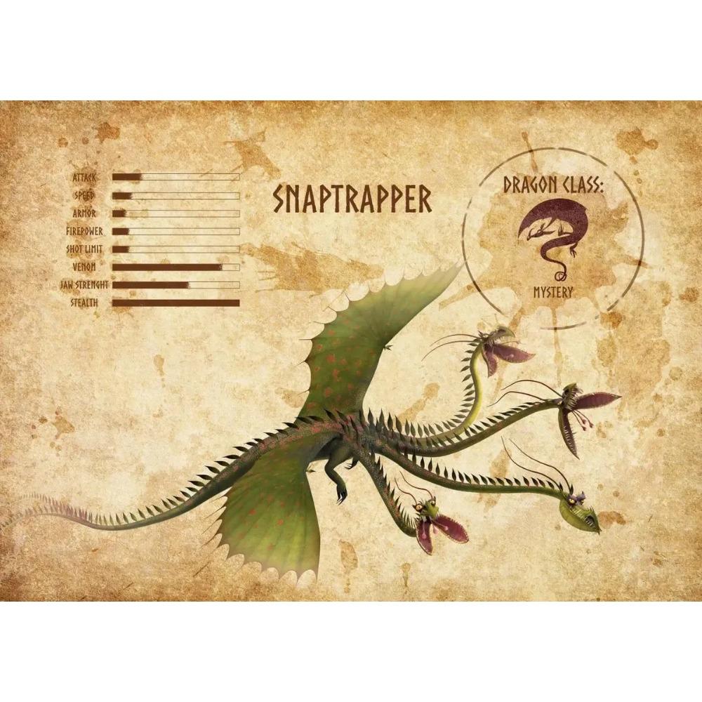 Dragon Species Cartoon Movie Cards Posters and Prints Canvas Printing Wall Art Picture for Living Room Home Decor Gifts