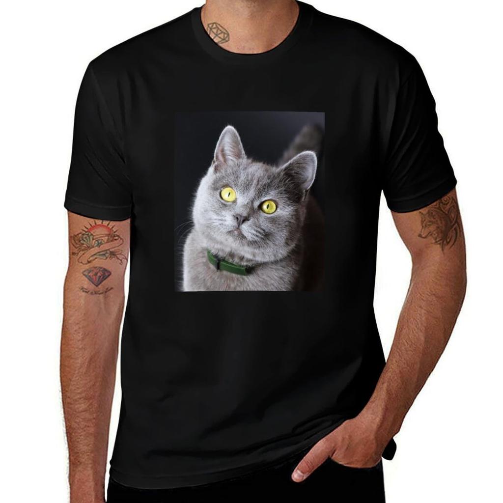 British Shorthair Kitten TShirt Basic Daily Outfit Short Sleeve Tee