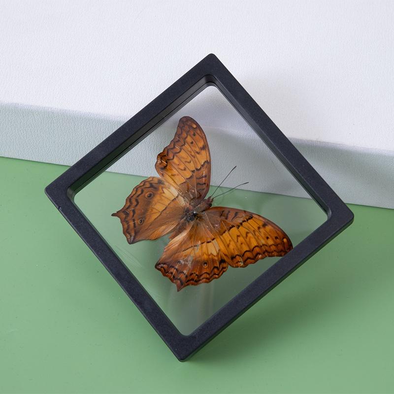 10Pcs Floating Display Case Jewelry Storage Box Holder Stands Transparent Frame Gift Box Dustproof Stackable Coin Medals