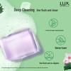 Lux Botanical Cleansing Bar Soap, Grape Scent