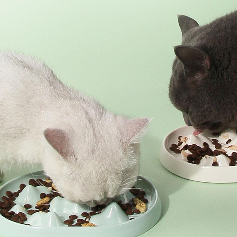 Pet Slow Feeder Bowl for Dogs & Cats, Anti-Choking Non-Slip Bloat Prevention Food Dish, Durable Pet Feeding Bowl Utensils