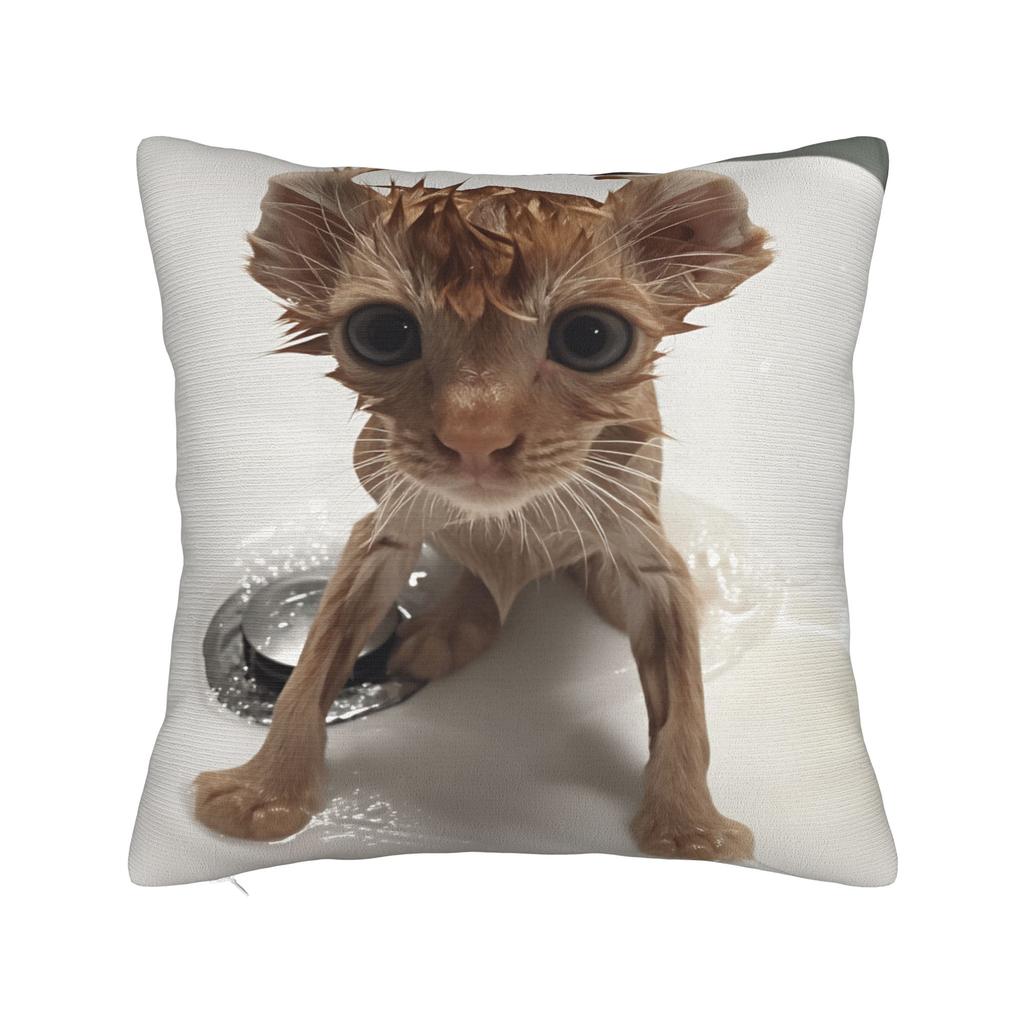 Pet Cat Funny memes Pillow Case Retro Trendy Pillow Cover Comfy Pillowcases For Sofa Couch Bed Living Room