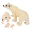 4 Pcs Polar Bear Growth Cycle Statue Cognitive Development Detailed PVC Wild Life Animal Figurine