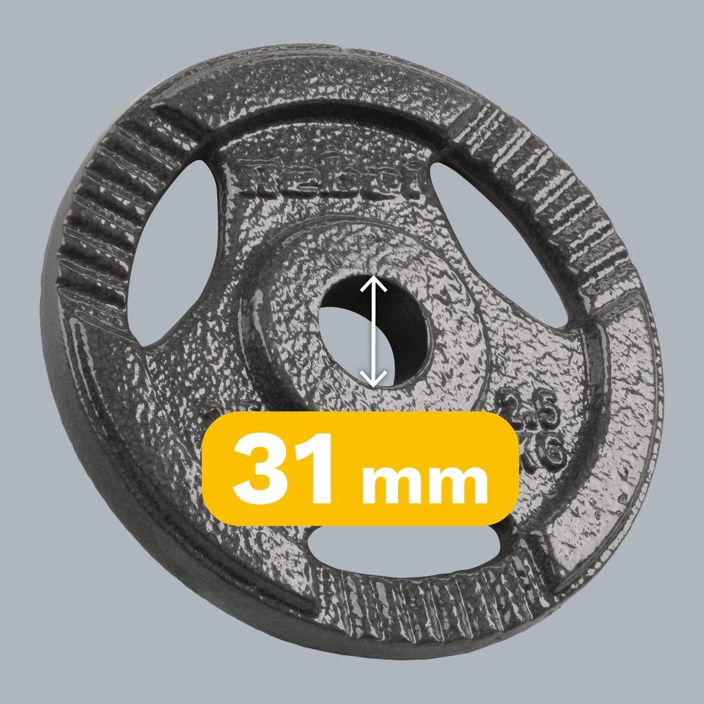 Cast Iron Weight Set 4X2.5Kg 10Kg Hole 31Mm Plate With Handles Rebel