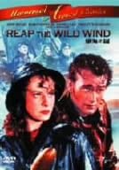 DVD DVD - Sea storm Japan Movies & DVD Used