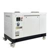 Custom Commercial 10kW/50kW Silent Diesel Generator Set in Enclosure