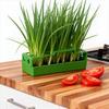 Hydroponic Chives Planter Lettuce Celery Sprout Planting Pot Coriander Soilless Cultivation Pot Vegetable Growing Seedling Tray