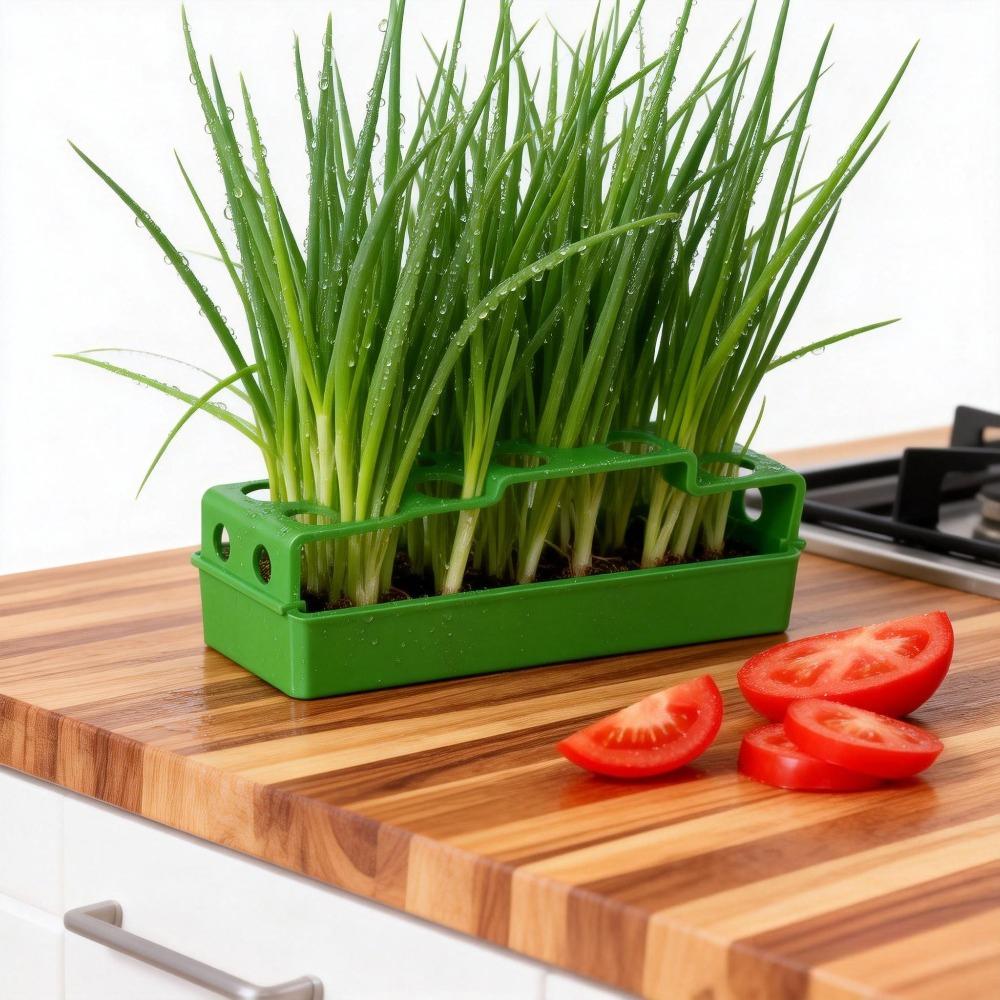 Hydroponic Chives Planter Lettuce Celery Sprout Planting Pot Coriander Soilless Cultivation Pot Vegetable Growing Seedling Tray
