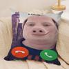 John Pork Is Calling Funny Cushion Cover Silky Short Plush DoubleSided Printed Pillow Case for Sofa All Seasons Home Decor Gift