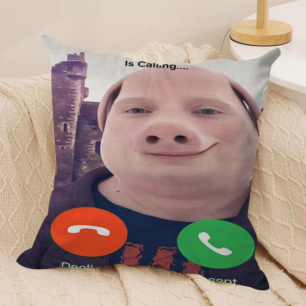 John Pork Is Calling Funny Cushion Cover Silky Short Plush DoubleSided Printed Pillow Case for Sofa All Seasons Home Decor Gift