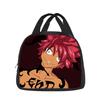 Fairy Tail Cartoon Handbag Insulated Lunch Bag School Bags and Girls Best Gift Stationery Suitable for Juice and Food