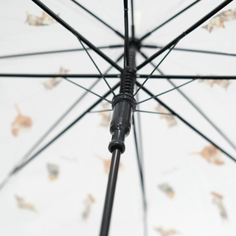 WPC Cat Durable Transparent Umbrella Pt Om05 001
