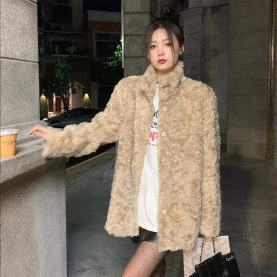 Fur One-piece Faux Fur Eco-friendly Teddy Fur Coat, Women's Winter Stand-up Collar Loose Thickened Warm Lambskin Coat