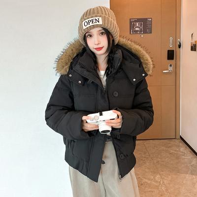 Manteau en coton duvet à capuche et col en fourrure pour femme, nouveau automne et hiver, petit manteau en coton