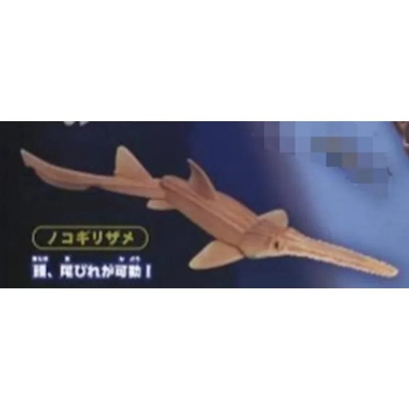 Original Sea Life THE SHARK Gashapon Toys Simulation Figure Model Ornaments Toys