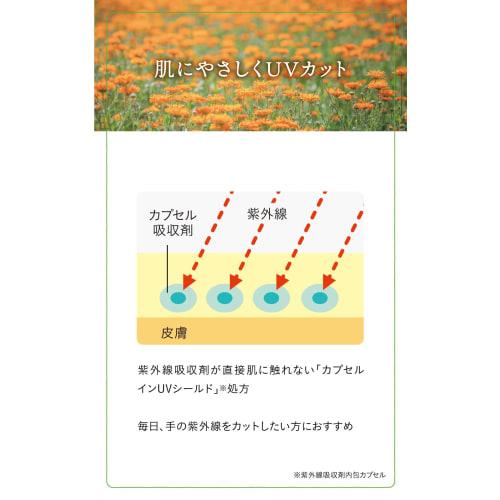 Natural Island Handmade UV Mint Citrus (SPF22 PA++) 45g Hand Cream with Japanese Mint and Citrus Scent, Calendula