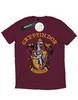 Boys Gryffindor Crest T-Shirt