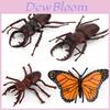 Butterfly Life Cycle Model Pvc Educational Toy For Science Learning