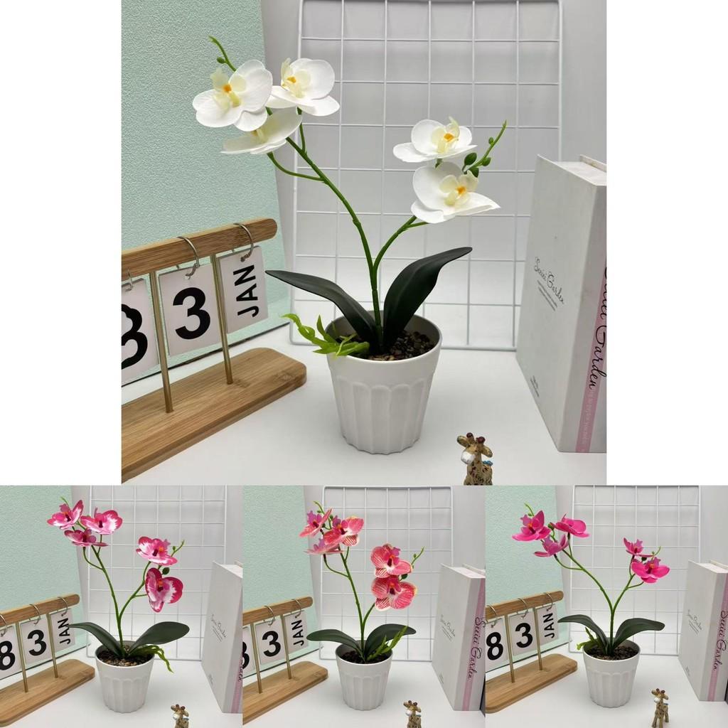 Schmetterlingsorchidee Kunstpflanze mit geprägter Textur für Heimdeko und Wohnzimmerausstellung