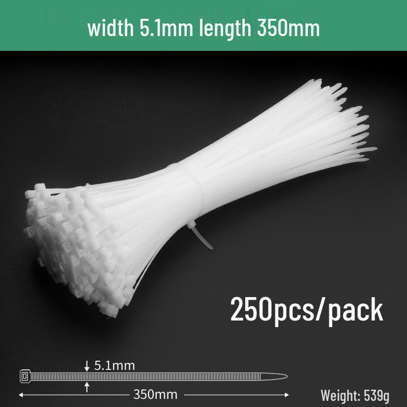 Black Self-Locking Nylon Cable Tie with Strong Anti-Theft Buckle