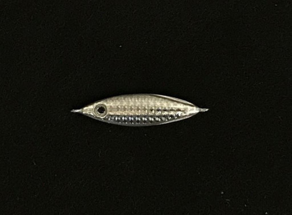 Zeake Metalljig Z Bit 2 Gramm 01 (5876)