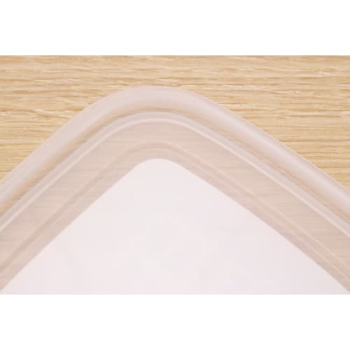 Lastro Snack Case, Large, 1.19L, B-1805, 031098