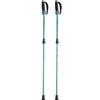 Mizuno Nordic Walking Alkerne of C3JTPD30 Poles, 3A-1 (Pair 2), Unisex, Blue-Green,