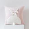 1pcs Cartoon Rabbit Cat Embroidered Cushion Pillow Cover Cute Home Sofa Decorative Cushion Case Gorgeous 45cm Soft Pillowcase