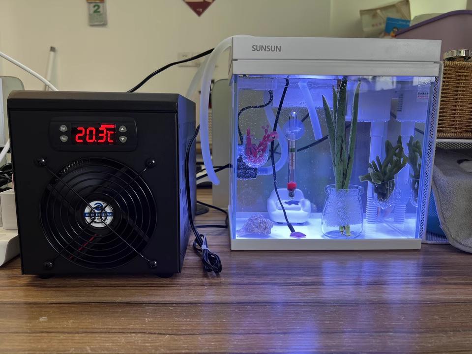 Small Silent Energy-Saving Aquarium Chiller and Thermostatic Machine