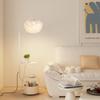 Xuanyong Feather Floor Lamp