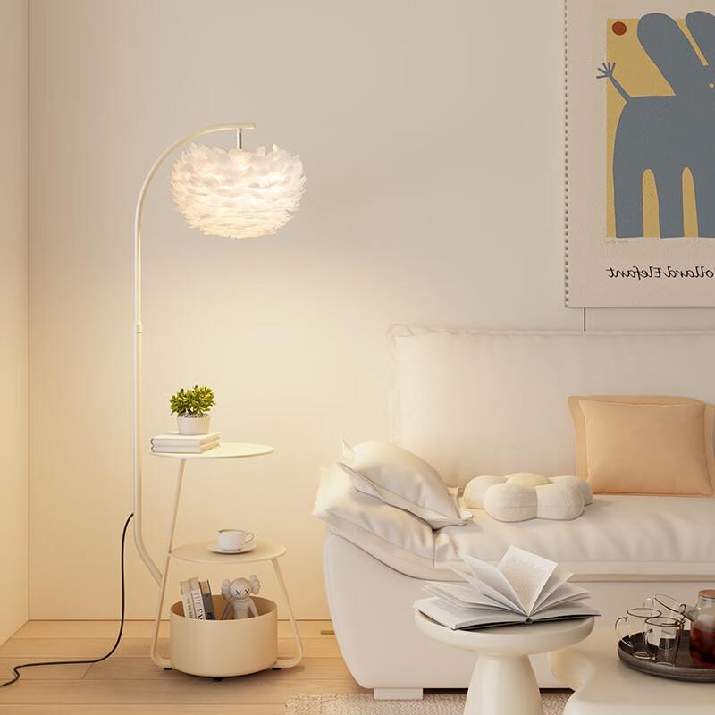 Xuanyong Feather Floor Lamp