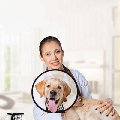 Prévenir les morsures Couverture de protection transparente pour chien et chat Guérison des plaies Bain Toilettage Cône Protecteur Collier médical pour animal de compagnie Chien