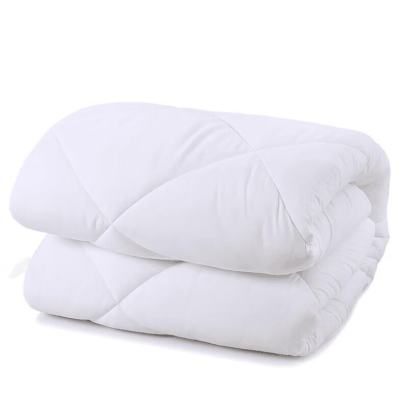LOVO Warm Microfiber Winter Comforter