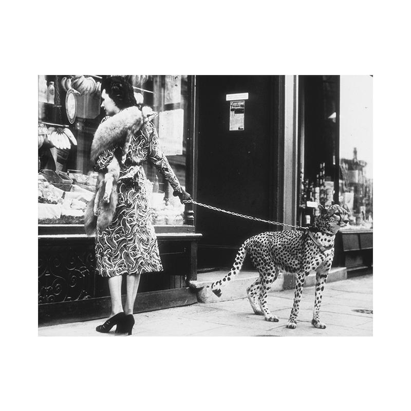 

Женщина Гепард Черно-белая Фото Печать На Холсте Настенный Животный Арт Плакат Винтажная Картина Леопарда для Гостиной Домашний Декор Cuadros 21x30cm No Framed