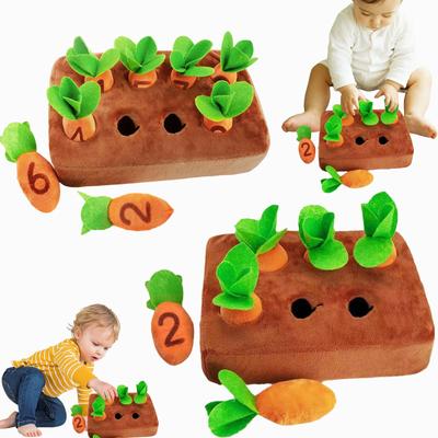 Carrot Sensory For Toddlers 3-4 Market Sniffing Scraper Sniffing Rug Dog H Sniffing Games Dog With Children'S Ages 3-5 Boys  Girls