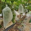 200pcs White Mesh Fruit Protection Bags Non-Woven Bird-proof Insect-proof for Vineyard Breathable Fruit Net Bags with Drawstring