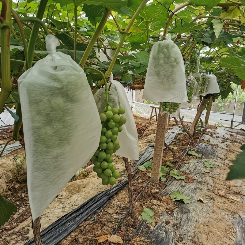 200pcs White Mesh Fruit Protection Bags Non-Woven Bird-proof Insect-proof for Vineyard Breathable Fruit Net Bags with Drawstring