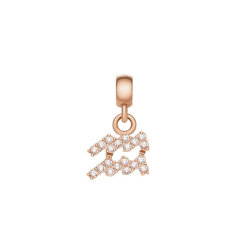 Daniel Wellington Necklace/Pendant DIY constellations & numbers, alloy crystal, crystal pendant, exclusive secret series, same style DW00400733