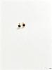 Titanium Steel Four-Leaf Clover Threaded Ear Bone Studs with Drip Oil - Simple & Versatile for Women