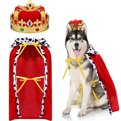 Giyim ve ayakkabı – Köpek Aksesuarları