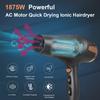 Pretfy Asciugacapelli per la cura dei capelli Asciugacapelli ionico negativo 2500 W 2 velocità 3 impostazioni di calore Asciugatura rapida