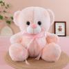 Colorful Plush Bear Doll for Sleeping, Sitting Model Cloth Toy, Perfect Children's Birthday Gift